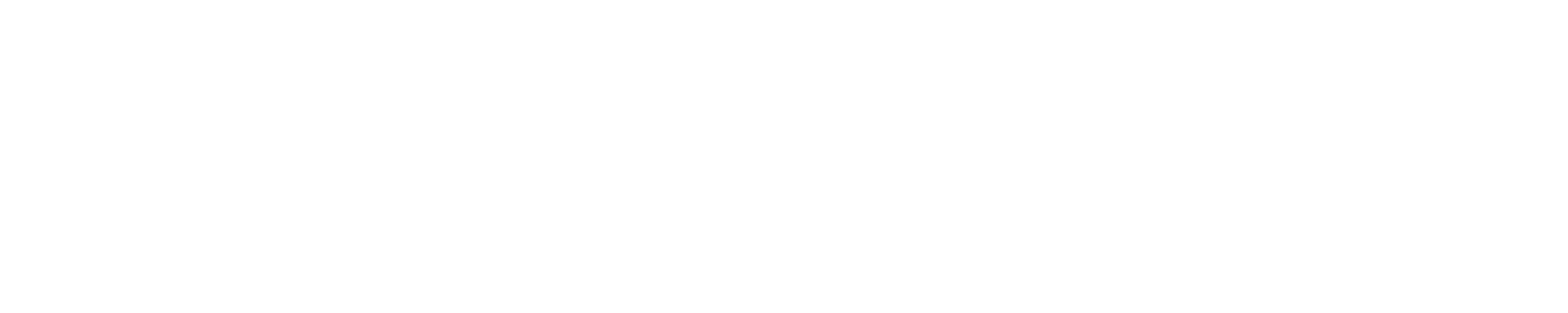 Loopion